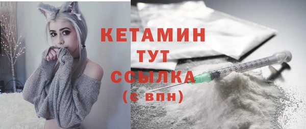 сатива Тайга